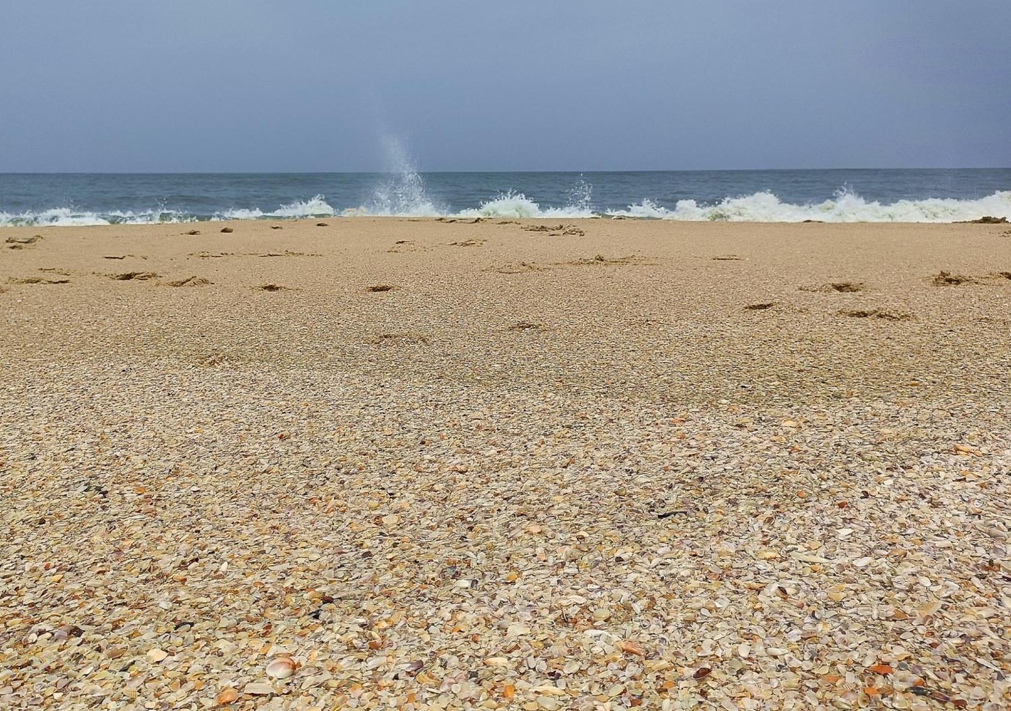 Marari Beach Cleetus Homestay Mararikulam Esterno foto